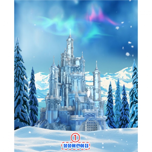 [파티붕붕]D5316 겨울왕국 현수막 / 어린이집 유치원 겨울 얼음성 배경 포토존 제작