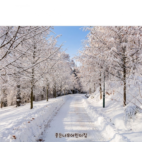 [파티붕붕]D5380 겨울 현수막 / 어린이집 유치원 눈 들판 설산 포토존 제작