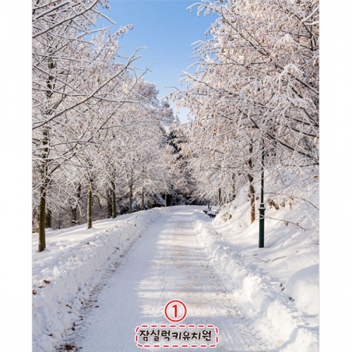 [파티붕붕]D5380 겨울 현수막 / 어린이집 유치원 눈 들판 설산 포토존 제작