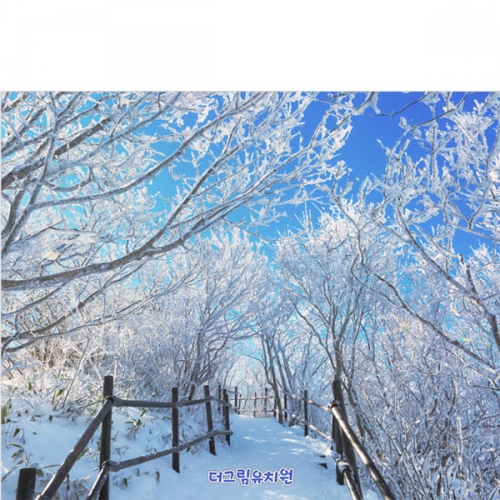 [파티붕붕]D5379 현수막 / 유치원 어린이집 겨울 눈배경 현수막 제작