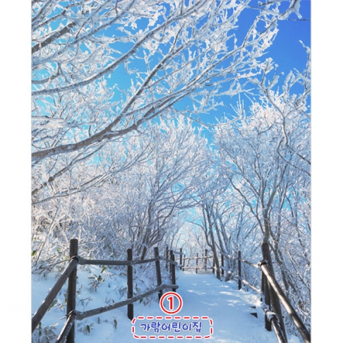 [파티붕붕]D5379 현수막 / 유치원 어린이집 겨울 눈배경 현수막 제작
