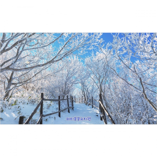 [파티붕붕]D5379 현수막 / 유치원 어린이집 겨울 눈배경 현수막 제작