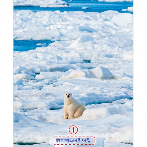 [파티붕붕]D5376 현수막 / 어린이집 겨울 북극곰 현수막 유치원 얼음 포토존