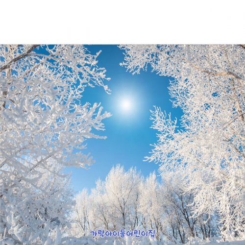 [파티붕붕]D5375 겨울 현수막 / 유치원 눈 설경 나무 현수막 어린이집 설산 포토존 제작