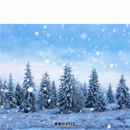 [Ƽغ]D5351 ܿ  /  Ʈ   ġ ܿ ǻ 