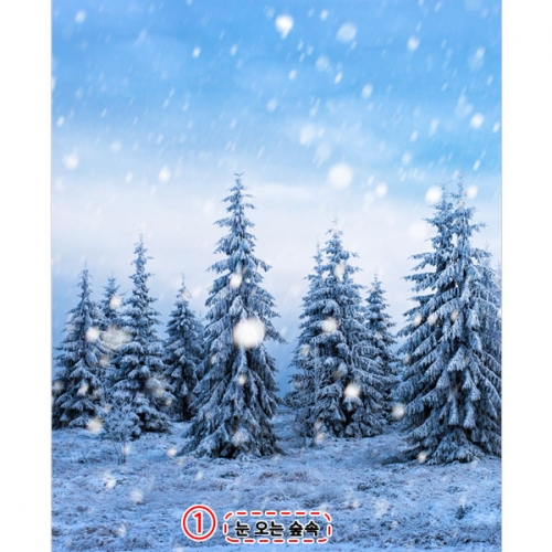 [파티붕붕]D5351 겨울배경 현수막 / 어린이집 트리 나무 현수막 유치원 겨울 실사 포토존