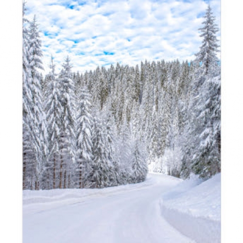 [파티붕붕]D3932 겨울나무 현수막 / 겨울 트리나무 현수막 배경 포토존