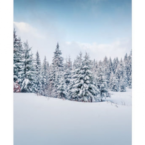 [파티붕붕]D3927 겨울 현수막 / 유치원 어린이집 겨울나무 현수막 실사 배경 포토존