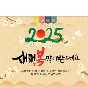 [Ƽغ] D5326    /  2025    ġ ų 