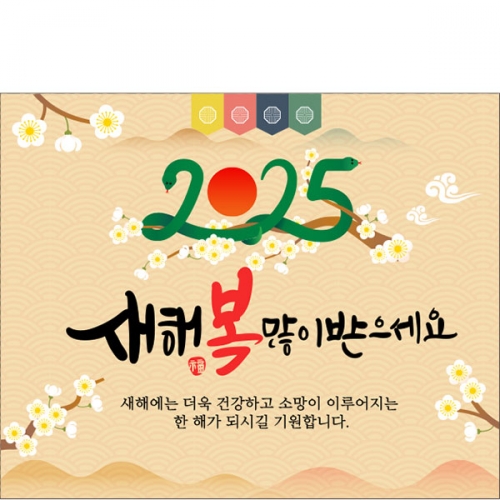 [Ƽغ] D5326    /  2025    ġ ų 