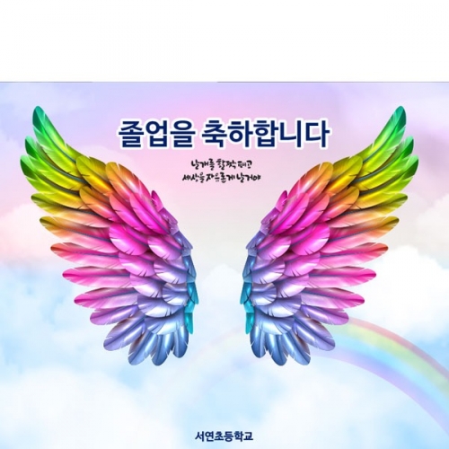 [Ƽغ] D2644  /     ġ  ÷ī