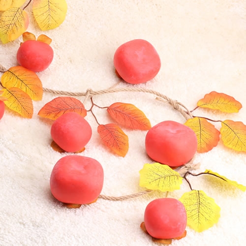 가을 홍시 감 가랜드