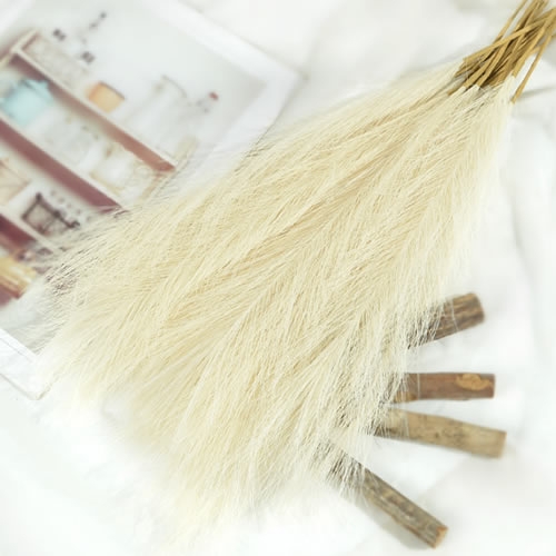 가을 갈대 (10개)