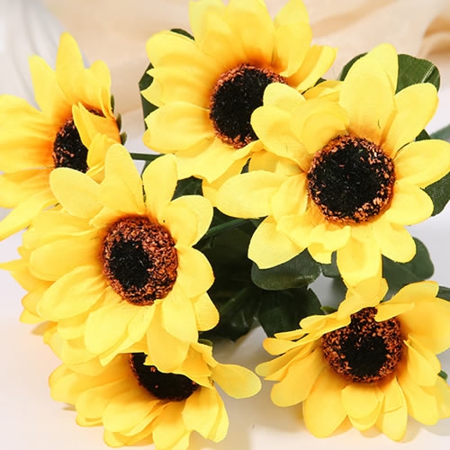 가을 국화꽃 해바라기꽃