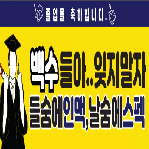 [Ƽغ] D1333 Ư  /    ÷ī    ٹ̱ Ȩ Ƽ