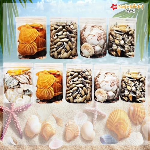 DIY만들기 꾸미기 방과후 공예 활동 해양 생물 천연 바다 큰 조개 소라 종류별 대용량