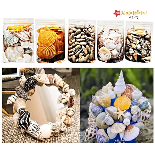 DIY만들기 꾸미기 방과후 공예 활동 해양 생물 천연 바다 큰 조개 소라 종류별 대용량