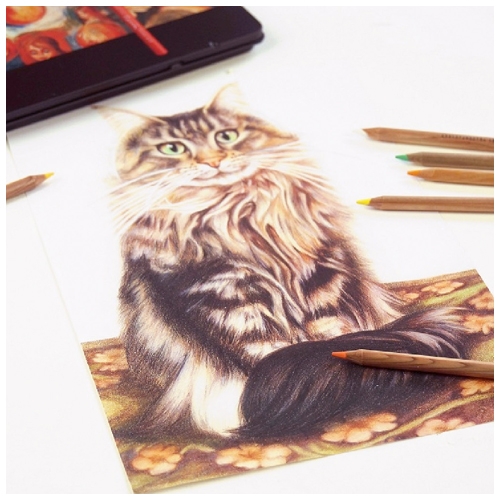 [삼원특수지] 르누와르 유성색연필 틴케이스 + 사은품 프리미엄 스케치북 (4종 택1)