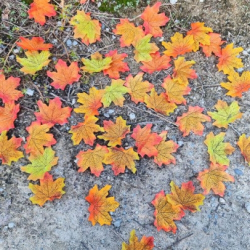 [파티붕붕]바스락 가을 낙엽 / 어린이집 유치원 가을 단풍 낙엽놀이 나뭇잎 놀이