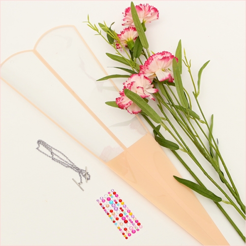 카네이션 투명 사각뿔 캐리어