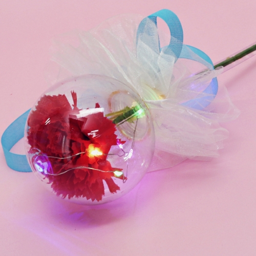 LED  ī̼ Ϻ