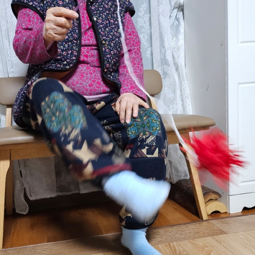 스틱 제기 차기