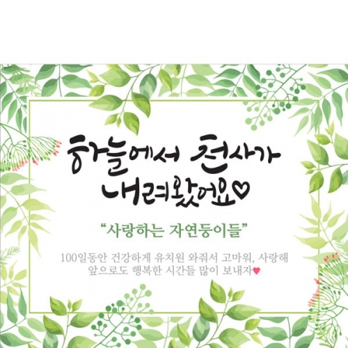 [Ƽغ]	D1522   /  ġ    ʵб 100 ġ