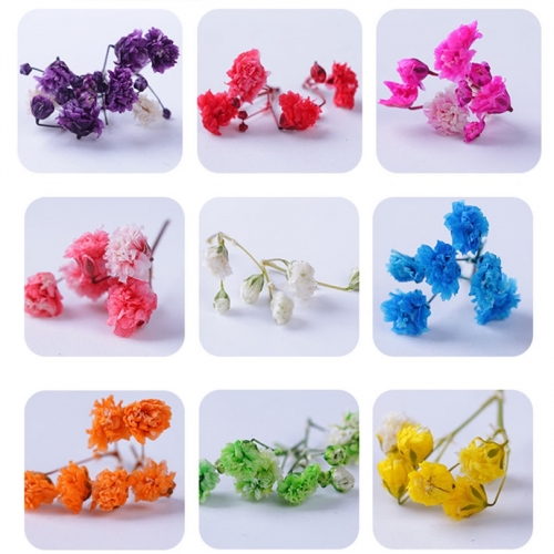 나만의 DIY만들기 레진아트 공예_생화 압화12종 미니꽃 세트 모음