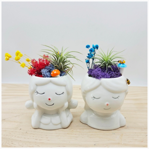 ȭĹƿ&̳(ɸ͵ڱȭ)5