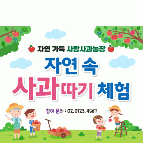 [Ƽغ] D6248  ü  /    ġ    