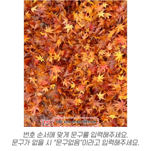 [파티붕붕] D6316 가을 단풍 현수막 / 어린이집 단풍잎 현수막 유치원 단풍놀이 행사 포토존