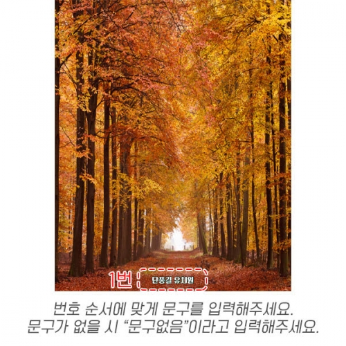 [파티붕붕] D6319 가을 현수막 / 유치원 어린이집 단풍나무 숲 계절 낙엽 길 환경판 포토존