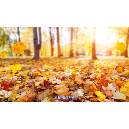 [파티붕붕] D6321 현수막 / 유치원 단풍 배경 현수막 어린이집 가을 숲속 포토존