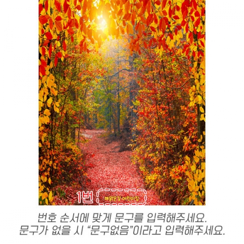 [파티붕붕] D6322 현수막 / 가을 단풍나무 현수막 단풍 숲 나무 배경 포토존 제작
