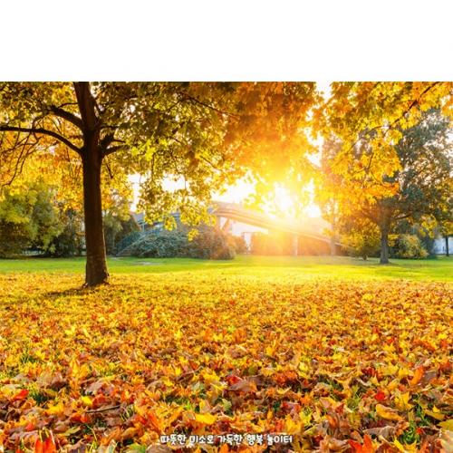 [파티붕붕] D6323 가을 현수막 / 어린이집 유치원 단풍나무 숲속 배경 현수막 실사 포토존
