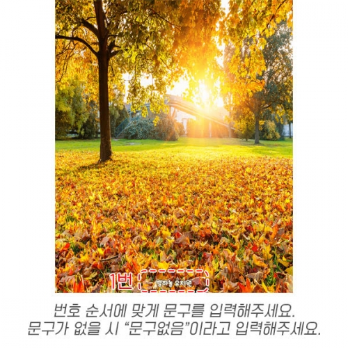[파티붕붕] D6323 가을 현수막 / 어린이집 유치원 단풍나무 숲속 배경 현수막 실사 포토존