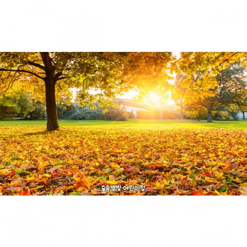 [파티붕붕] D6323 가을 현수막 / 어린이집 유치원 단풍나무 숲속 배경 현수막 실사 포토존