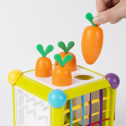 [캐스비]튼튼 뉴도형학교(2954)