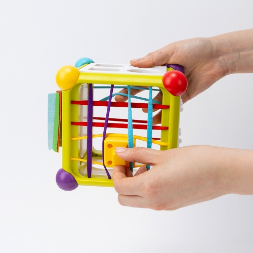 [캐스비]튼튼 뉴도형학교(2954)