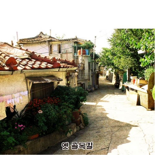[Ƽغ]D5132  / ġ     Ʈ 