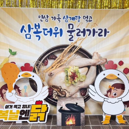 [파티붕붕]복날엔 닭 파티세트 01 / 삼복더위 현수막 말복 중복 초복 행사 판넬 포토존 장식 용품