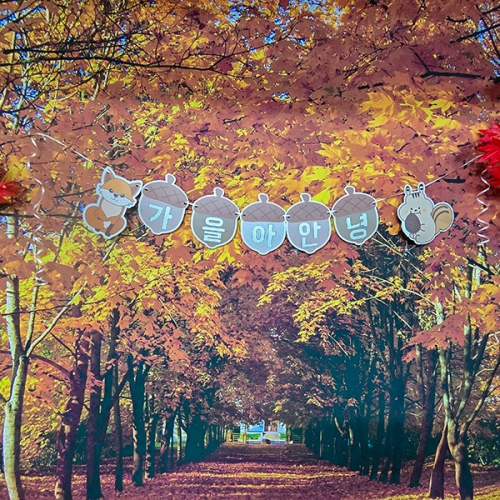 [파티붕붕] 가을 배경 세트 10 / 유치원 가을 행사 포토존 장식 어린이집 단풍 환경구성 소품
