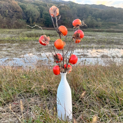 [파티붕붕] 감 나뭇가지 / 가을 감나무 가지 모형 인조 홍시 어린이집 오렌지데이 행사 소품