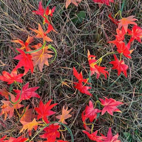[파티붕붕]클래식 가을 메이플 가랜드 / 어린이집 유치원 가을 단풍 가랜드 낙옆 단풍잎 환경구성