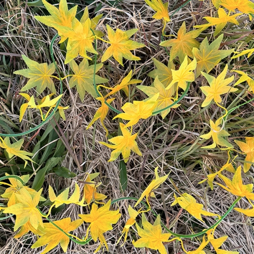 [파티붕붕]클래식 가을 메이플 가랜드 / 어린이집 유치원 가을 단풍 가랜드 낙옆 단풍잎 환경구성