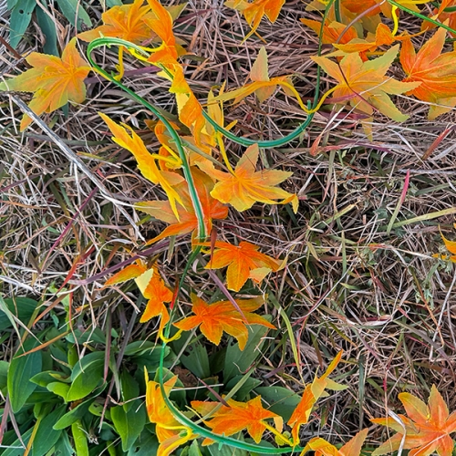 [파티붕붕]클래식 가을 메이플 가랜드 / 어린이집 유치원 가을 단풍 가랜드 낙옆 단풍잎 환경구성