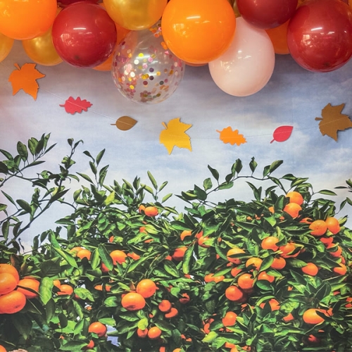 [파티붕붕] 가을 배경 세트 06 / 어린이집 유치원 가을 감귤 귤나무 체험 놀이 포토존 장식