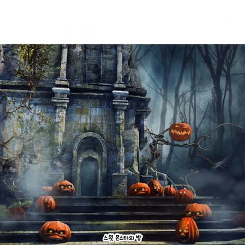 [파티붕붕] H6349 현수막