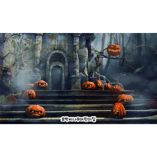 [파티붕붕] H6349 현수막