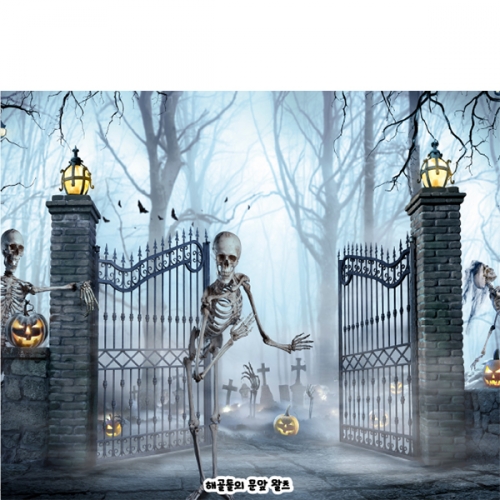 [파티붕붕] H6350 현수막